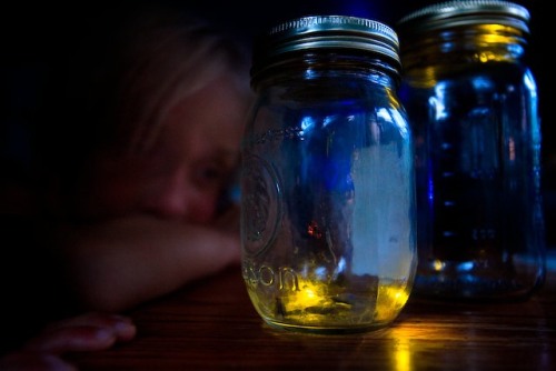 http://www.firefly.org/images/pictures/firefly-picture-in-jar.jpg