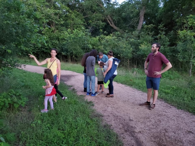 Firefly walk participants see fireflies and study firefly habitat.