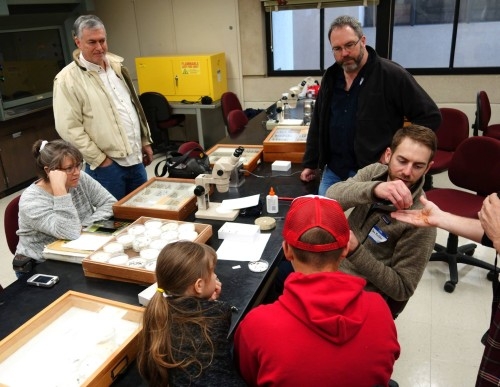 Ben Pfeiffer at Texas A&M Insect Collection