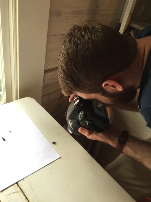 Ben photographs Photuris fireflies