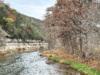 What Is A Riparian Zone Firefly Org What Is A Riparian Zone Firefly Org