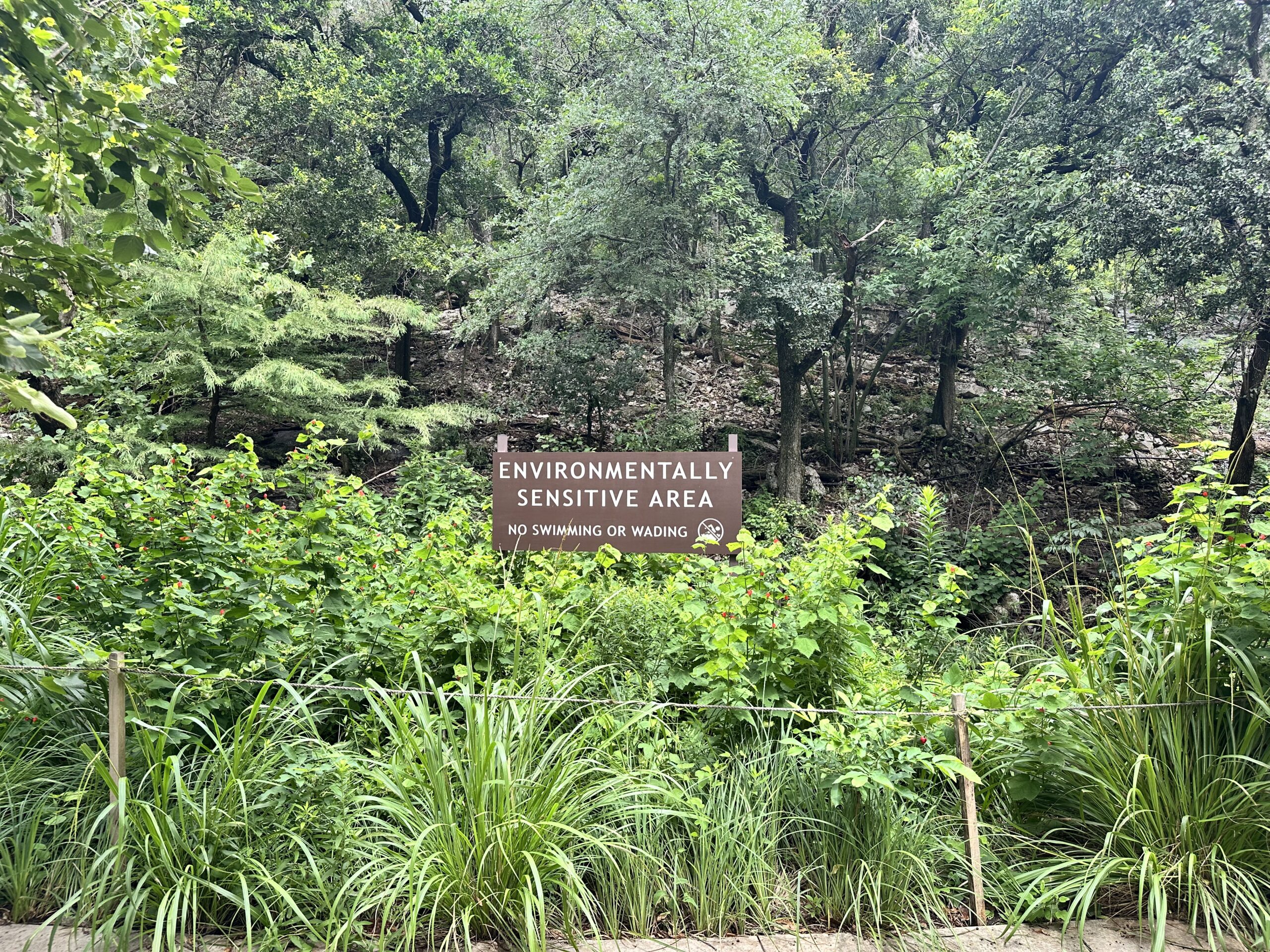 Photo shows an example of an excellent firefly habitat with a diversity of plants in New Braunfels, Texas. A sign reads that it is an environmentally sensitive area.