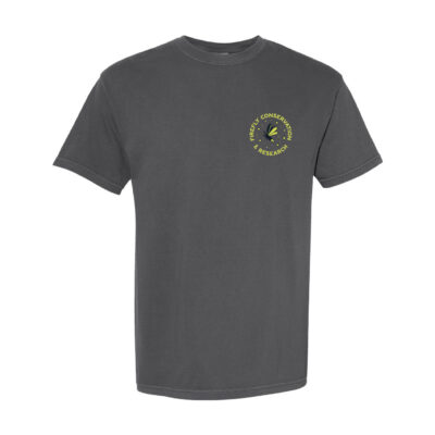 Texas Firefly T-Shirt - Grey - Image 2
