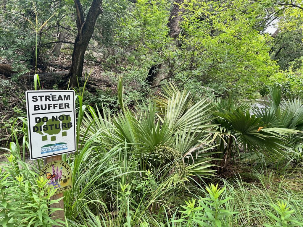 Photo shows an up close view of a stream buffer running along a spring fed Comal River. 